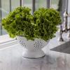 Golden Rabbit Enamelware Medium Colander, 3 quart, Solid White Textured(Solid White Textured)
