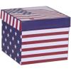 Golden Rabbit Enamelware Coffee or Tea Mug in Gift Box, 16 ounce, Forest Glen(Stars & Stripes)