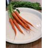 Golden Rabbit Enamelware Medium Tray, 15.5 inch, Solid White Textured(Solid White Textured)