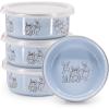 Golden Rabbit Enamelware Child Bowls with Lids, 14 ounce, Blue Bunnies, Set of 4(Blue Bunnies)