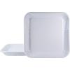 Golden Rabbit Enamelware Square Plates, 10.5 inch, Ocean, Set of 2(Solid White Textured)
