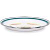 Golden Rabbit Enamelware Toddler Plate, 9 inch, Dinosaurs(Dinosaurs)